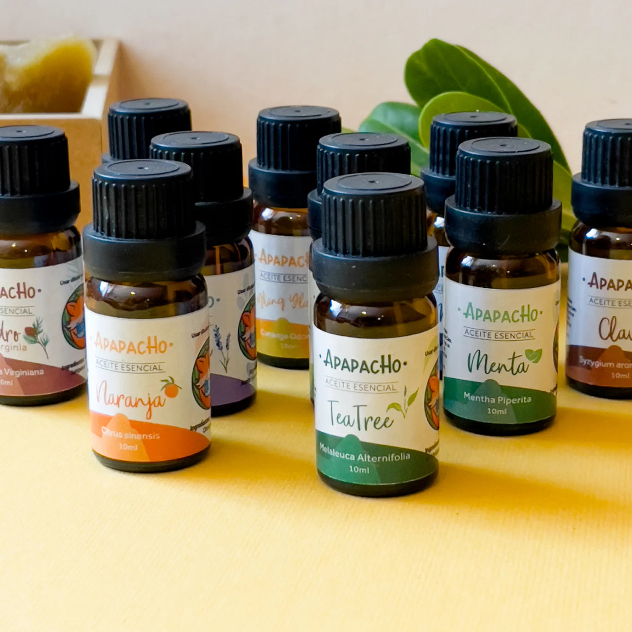 Aceite esencial de lavanda